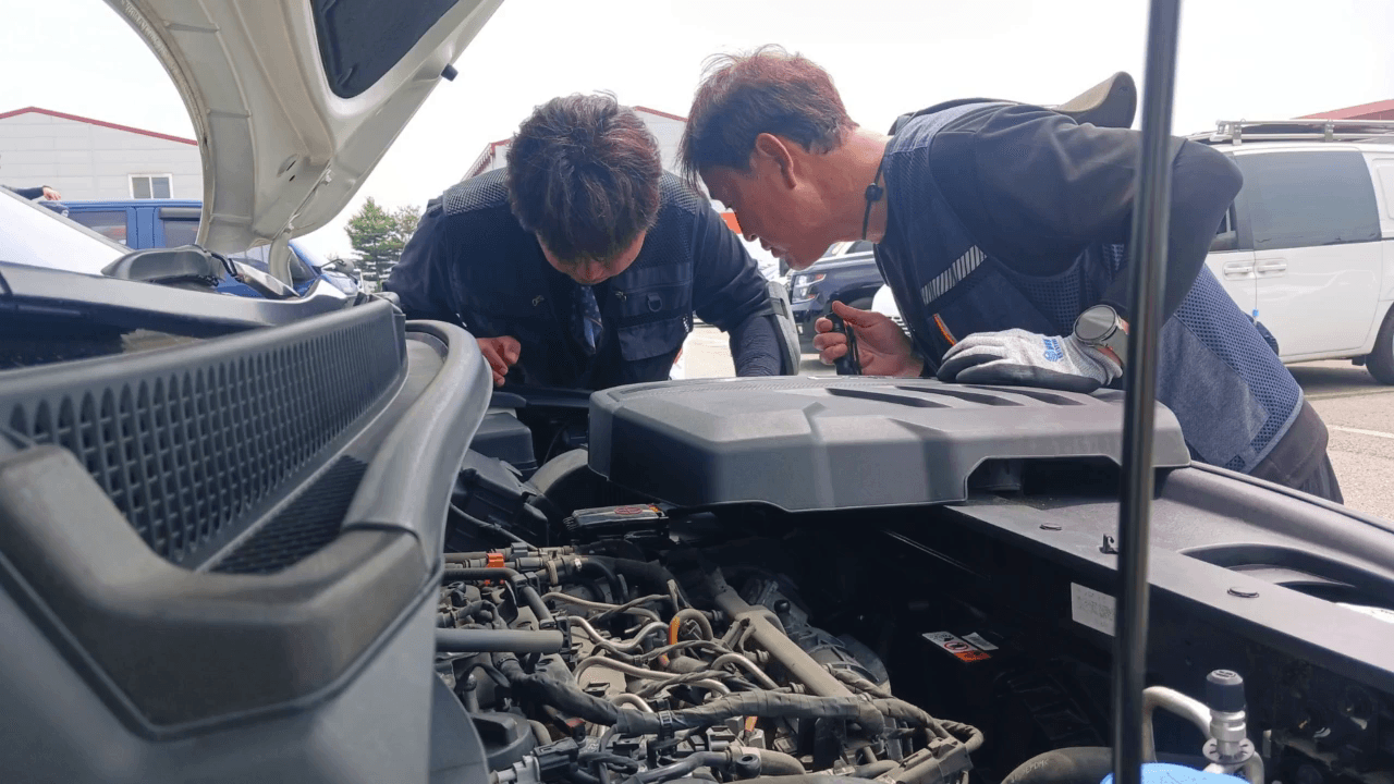 실습형 진단 교육